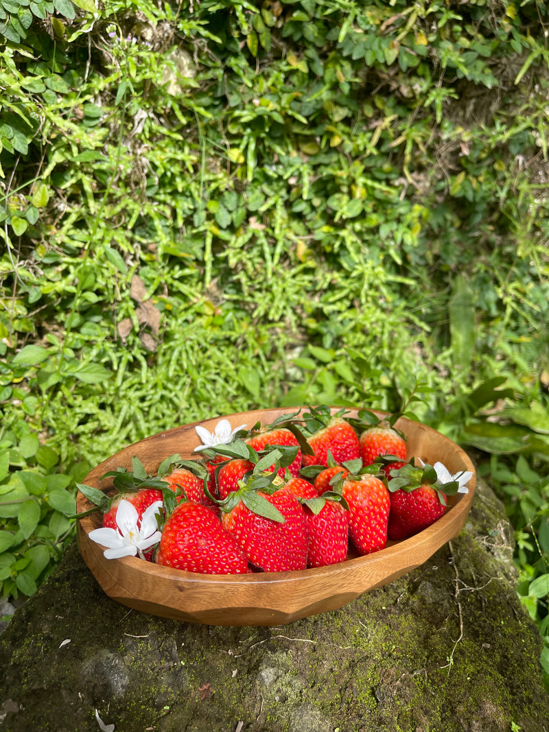 Acacia Wood Oblong Bowl