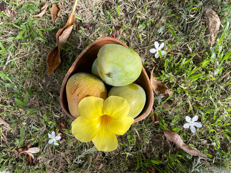 Acacia Wood Triangle Bowl